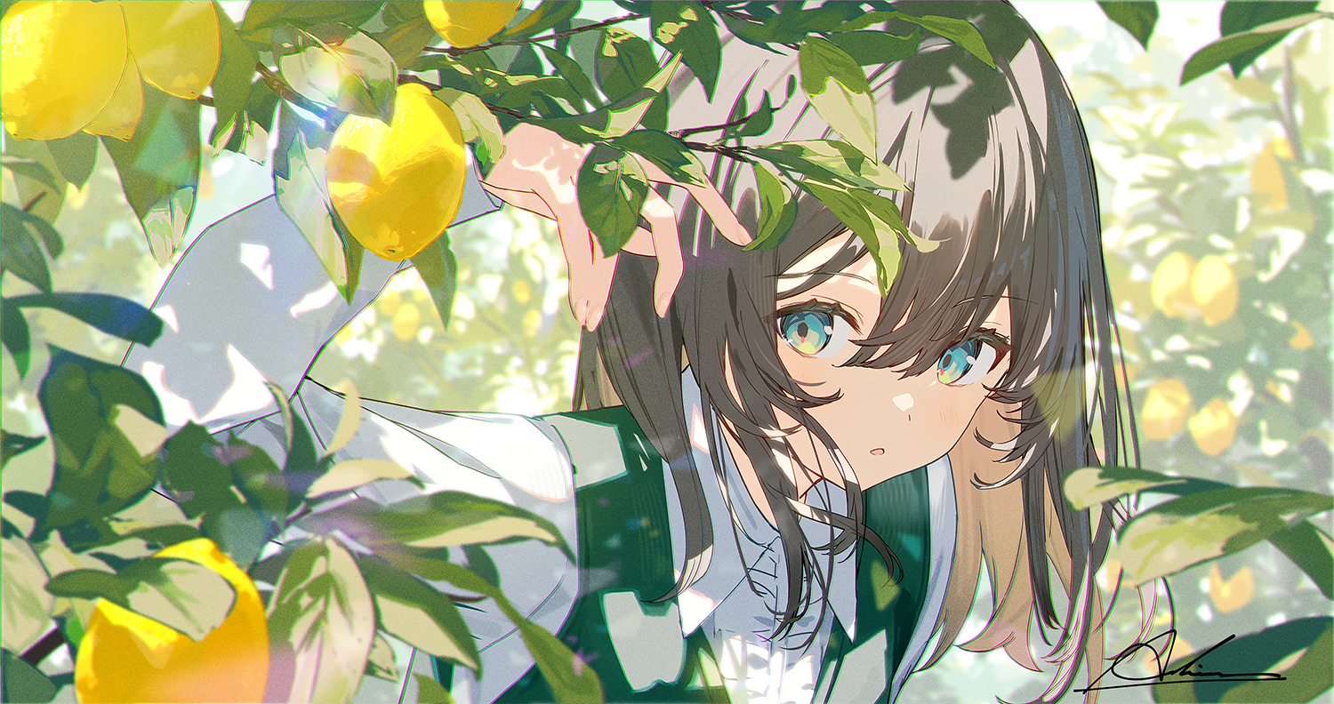 Hero Image